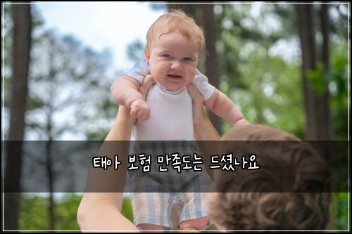 태아 보험 만족도는  드셨나요