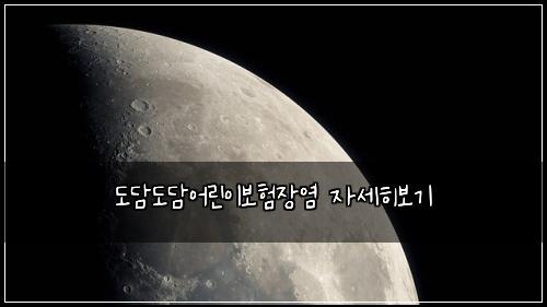 도담도담어린이보험장염 자세히보기