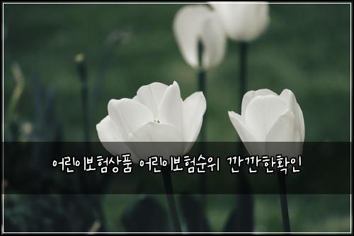 어린이보험상품 어린이보험순위 깐깐한확인