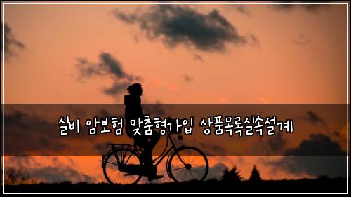 실비 암보험 맞춤형가입  상품목록실속설계