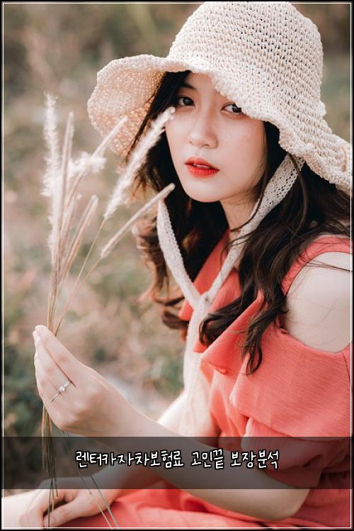 렌터카자차보험료 고민끝 보장분석