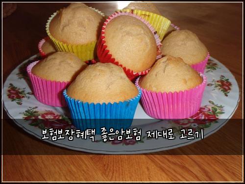 보험보장혜택 좋은암보험 제대로 고르기