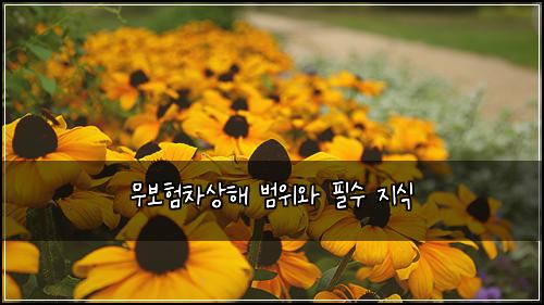 무보험차상해 범위와 필수 지식