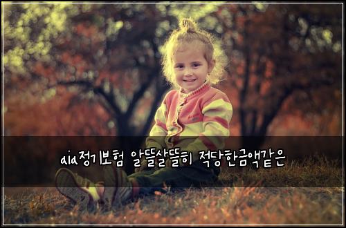 aia정기보험 알뜰살뜰히  적당한금액같은