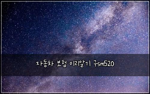 ์๋์ฐจ ๋ณดํ ๋ฏธ๋ฆฌ์๊ธฐ ๊ตฌsm520