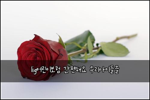 lig어린이보험 간편해요  우리아이들을