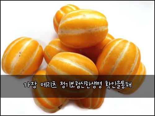 가장 메리츠 정기보험신한생명 확인을통해