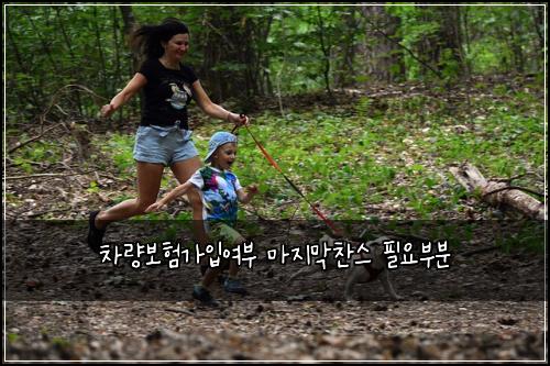 차량보험가입여부 마지막찬스 필요부분