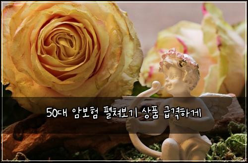50๋ ์๋ณดํ ํผ์ณ๋ณด๊ธฐ ์ํ ๊ธ๊ฒฉํ๊ฒ