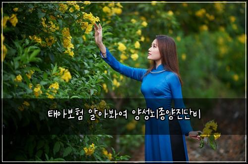 ํ์๋ณดํ ์์๋ด์ฌ ์์ฑ๋์ข
์์ง๋จ๋น