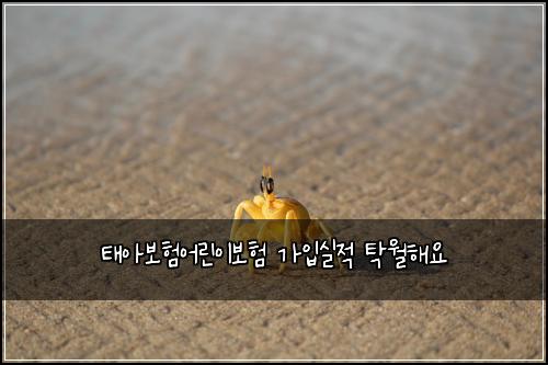 태아보험어린이보험 가입실적 탁월해요