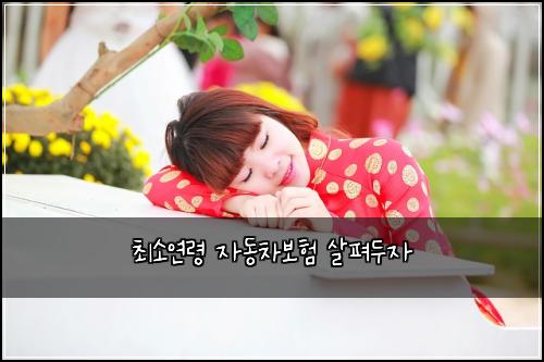 최소연령 자동차보험 살펴두자 