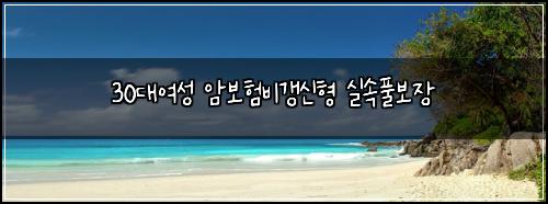 30๋์ฌ์ฑ ์๋ณดํ๋น๊ฐฑ์ ํ ์ค์ํ๋ณด์ฅ