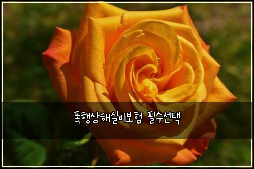 폭행상해실비보험 필수선택 