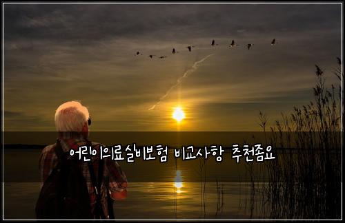 ์ด๋ฆฐ์ด์๋ฃ์ค๋น๋ณดํ ๋น๊ต์ฌํญ ์ถ์ฒ์ข์