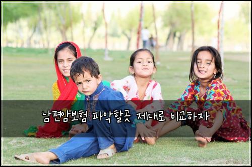 남편암보험 파악할곳 제대로 비교하자