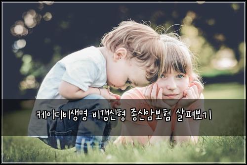 케이디비생명 비갱신형 종신암보험 살펴보기