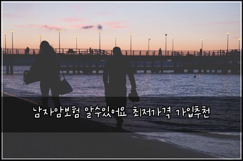 ๋จ์์๋ณดํ ์์์์ด์ ์ต์ ๊ฐ๊ฒฉ ๊ฐ์
์ถ์ฒ