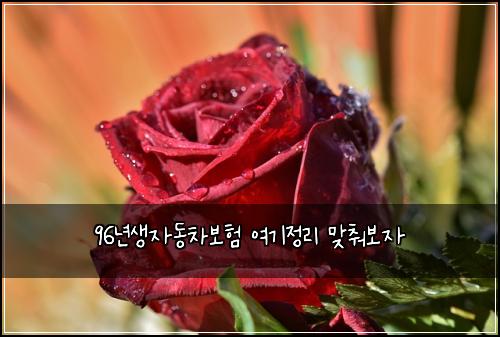 96년생자동차보험 여기정리  맞춰보자