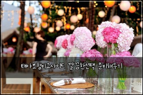 태아보험비교사이트 깔끔한선택 준비해두기