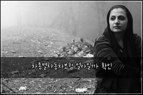 ์ฐจ์ข
๋ณ์๋์ฐจ๋ณดํ ์ผ๋ง์ผ๊น ํ์ธ