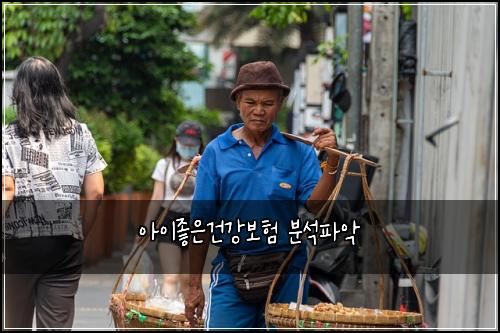 아이좋은건강보험 분석파악 