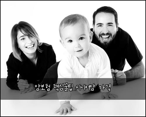 암보험 핵심꿀팁  시니어암 가격
