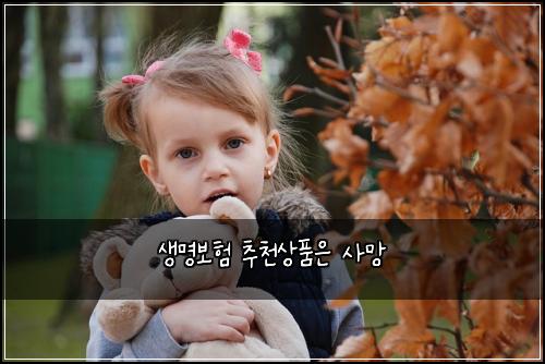 μλͺ
보ν μΆμ²μνμ μ¬λ§
