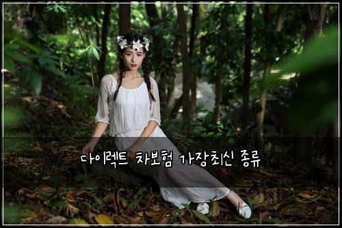 ๋ค์ด๋ ํธ ์ฐจ๋ณดํ ๊ฐ์ฅ์ต์ ์ข
๋ฅ