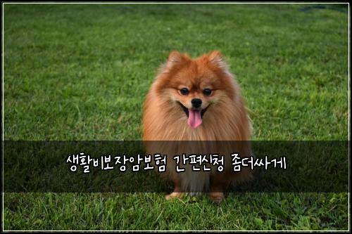생활비보장암보험 간편신청  좀더싸게