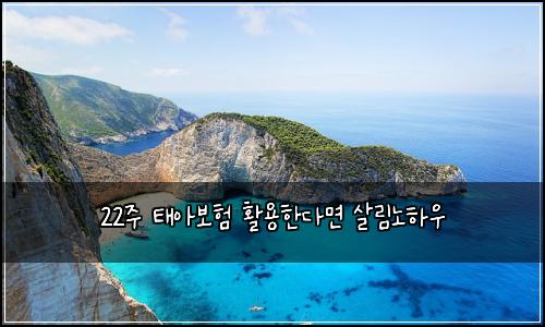22주 태아보험 활용한다면  살림노하우