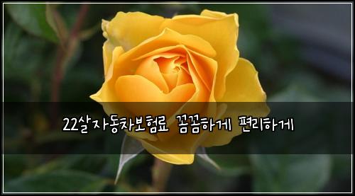 22์ด์๋์ฐจ๋ณดํ๋ฃ ๊ผผ๊ผผํ๊ฒ ํธ๋ฆฌํ๊ฒ