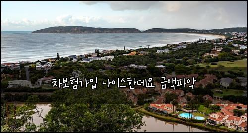 차보험가입 나이스한데요 금액파악