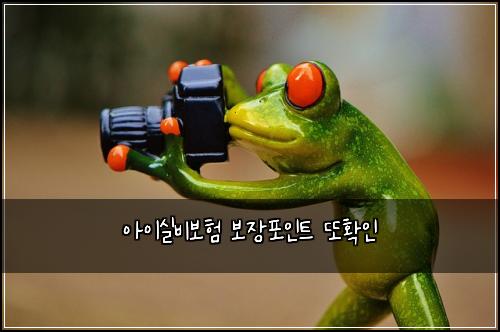 아이실비보험 보장포인트  또확인