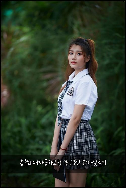 ํฅ๊ตญํ์ฌ์๋์ฐจ๋ณดํ ํน์ฝ๊ตฌ์ฑ ๋จ๊ฐ๋ฎ์ถ๊ธฐ