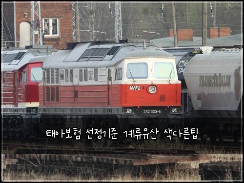 태아보험 선정기준  계류유산 색다른팁