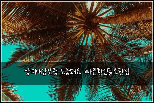 상피내암보험 도움돼요  빠른확인필요한점