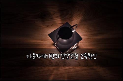 ์๋์ฐจ๋ฐฐ๊ธฐ๋๊ณผ๊ฑด๊ฐ๋ณดํ ์ ์ํ์ธ