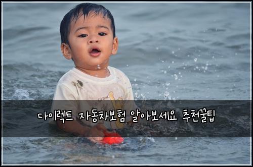 다이렉트 자동차보험 알아보세요  추천꿀팁