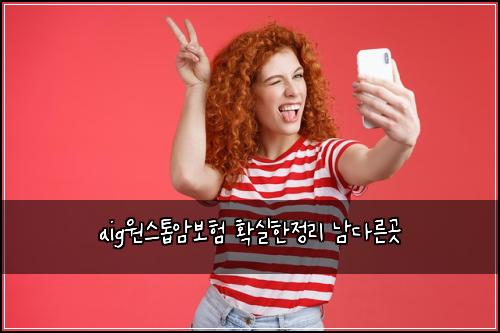 aig원스톱암보험 확실한정리  남다른곳