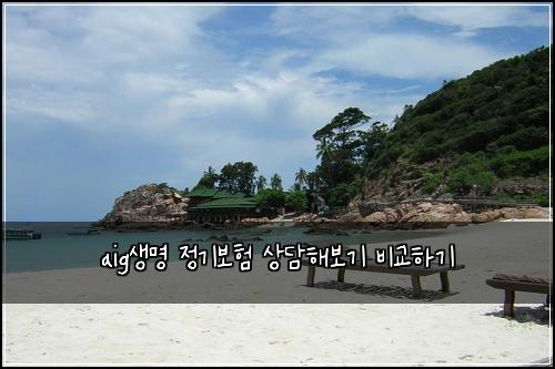 aig생명 정기보험 상담해보기  비교하기