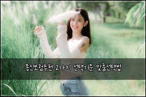 종신보험추천 2가지 선택기준 맞춤선택법
