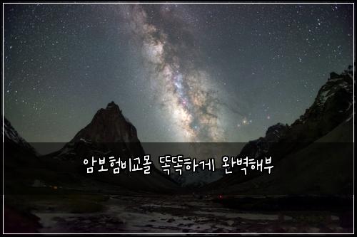 ์๋ณดํ๋น๊ต๋ชฐ ๋๋ํ๊ฒ ์๋ฒฝํด๋ถ