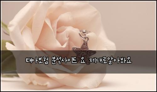 태아보험 분석사이트  요 제대로알아봐요