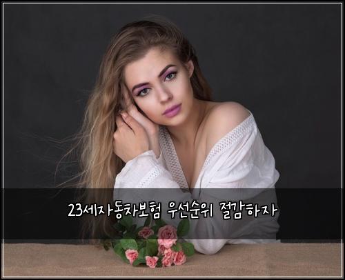 23세자동차보험 우선순위  절감하자