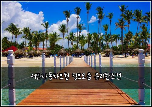 서민자동차보험 정보모음  유리한조건
