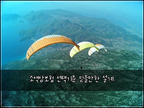 소액암보험 선택기준  믿을만한 설계