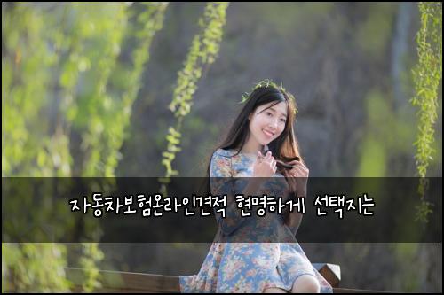 자동차보험온라인견적 현명하게 선택지는