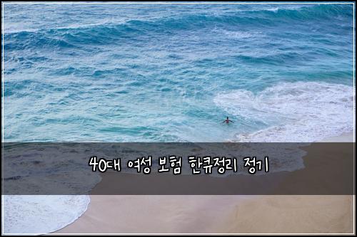 40대 여성 보험 한큐정리  정기