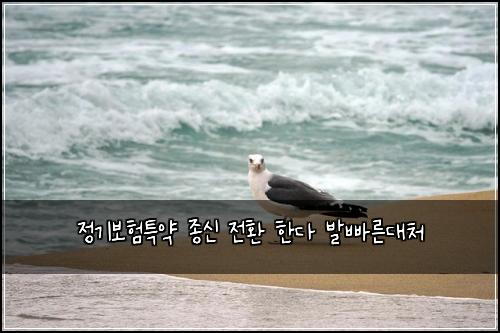 정기보험특약 종신 전환 한다 발빠른대처